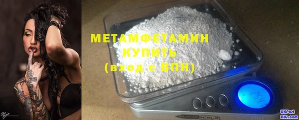 шишки Покачи