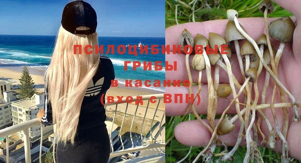 меф Армянск