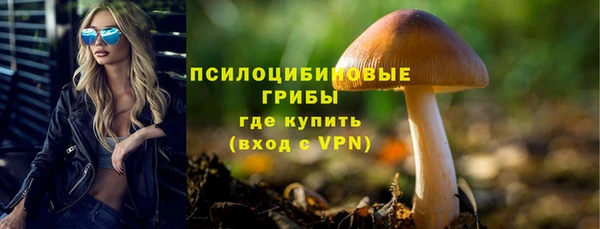 меф Армянск