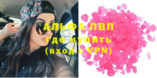 шишки Покачи