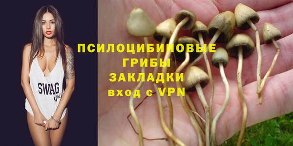меф Арсеньев
