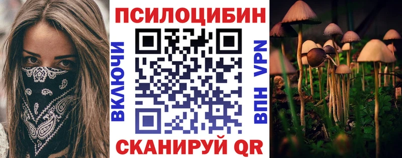 Галлюциногенные грибы Psilocybine cubensis  магазин    Чегем 